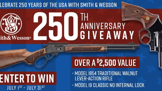 SW_250giveaway_600x300